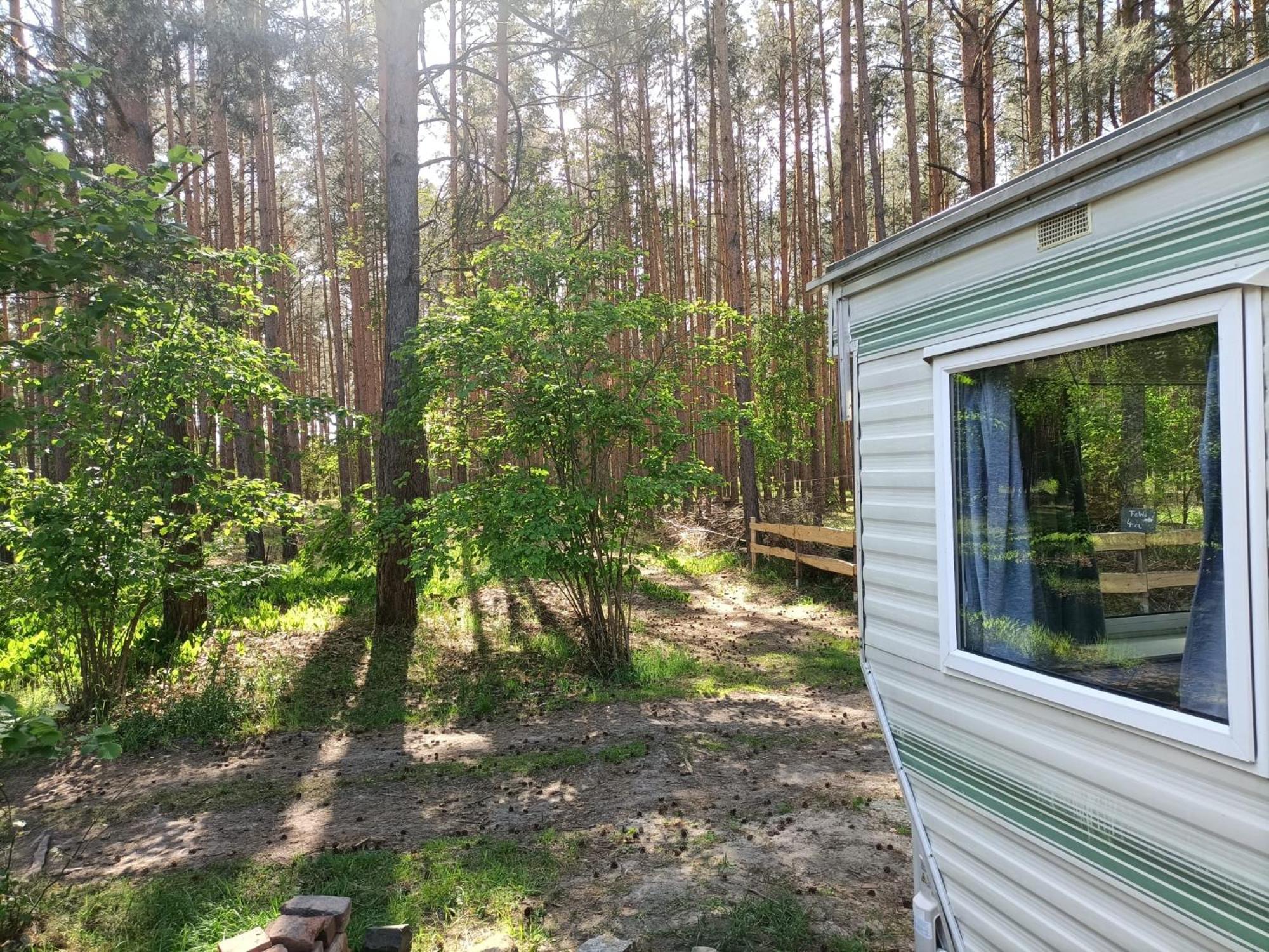 Hotel Tinyhaus Idyllisch Am Waldesrand Cottbus Esterno foto